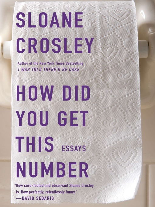 Title details for How Did You Get This Number by Sloane Crosley - Wait list